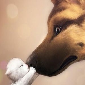 Meet your Posher, Celia